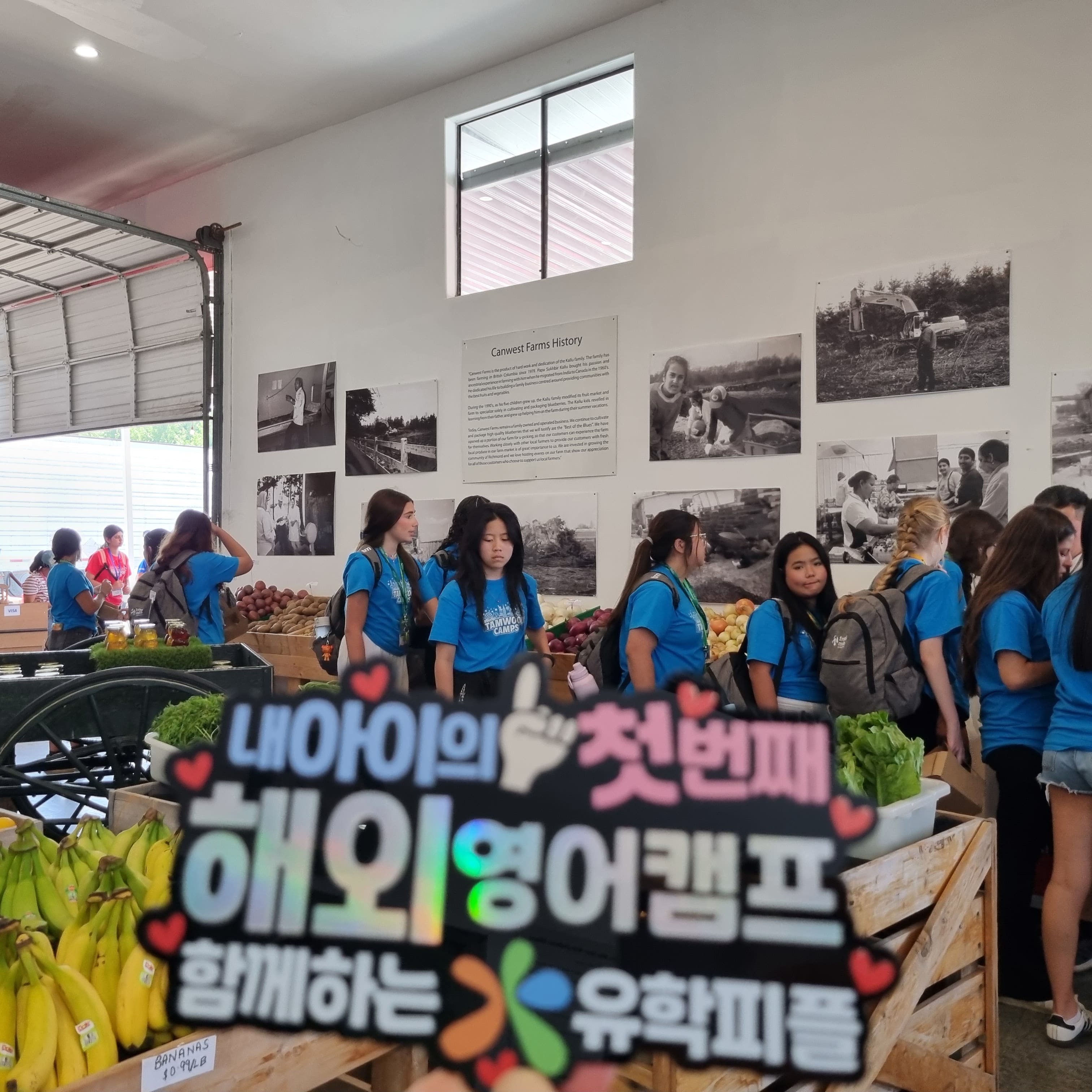 캠프 활동 사진